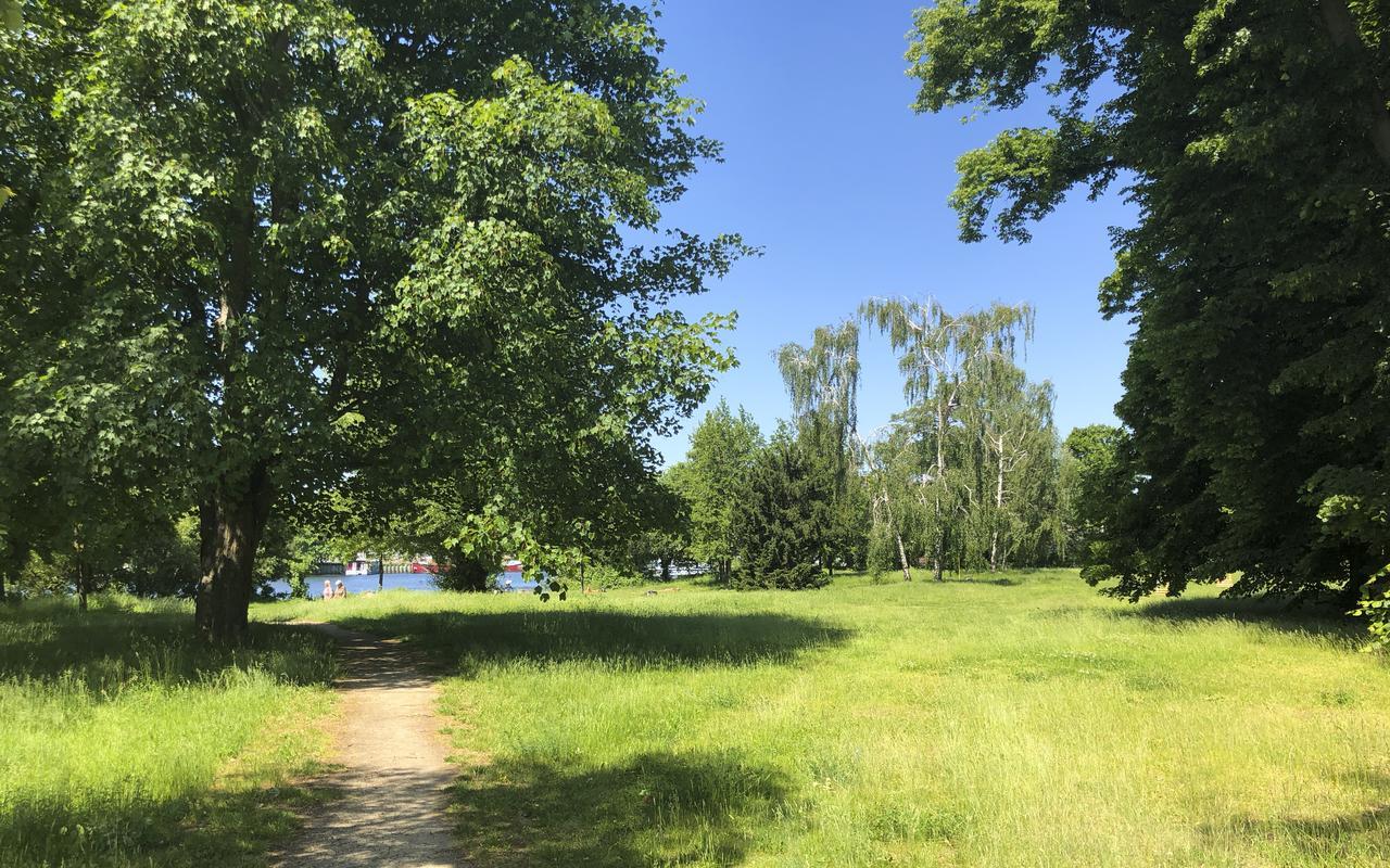 Park Penthouses Insel Eiswerder By Suite030 Апарт-отель