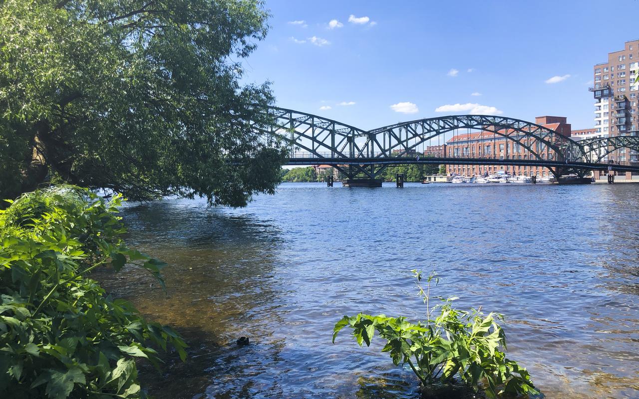Park Penthouses Insel Eiswerder By Suite030 4* Берлин